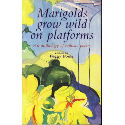 Marigolds grow wild on platforms